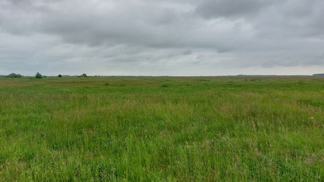 Resztki europejskiego stepu - puszty - chroni się w węgierskim Parku Narodowym Hortobagy