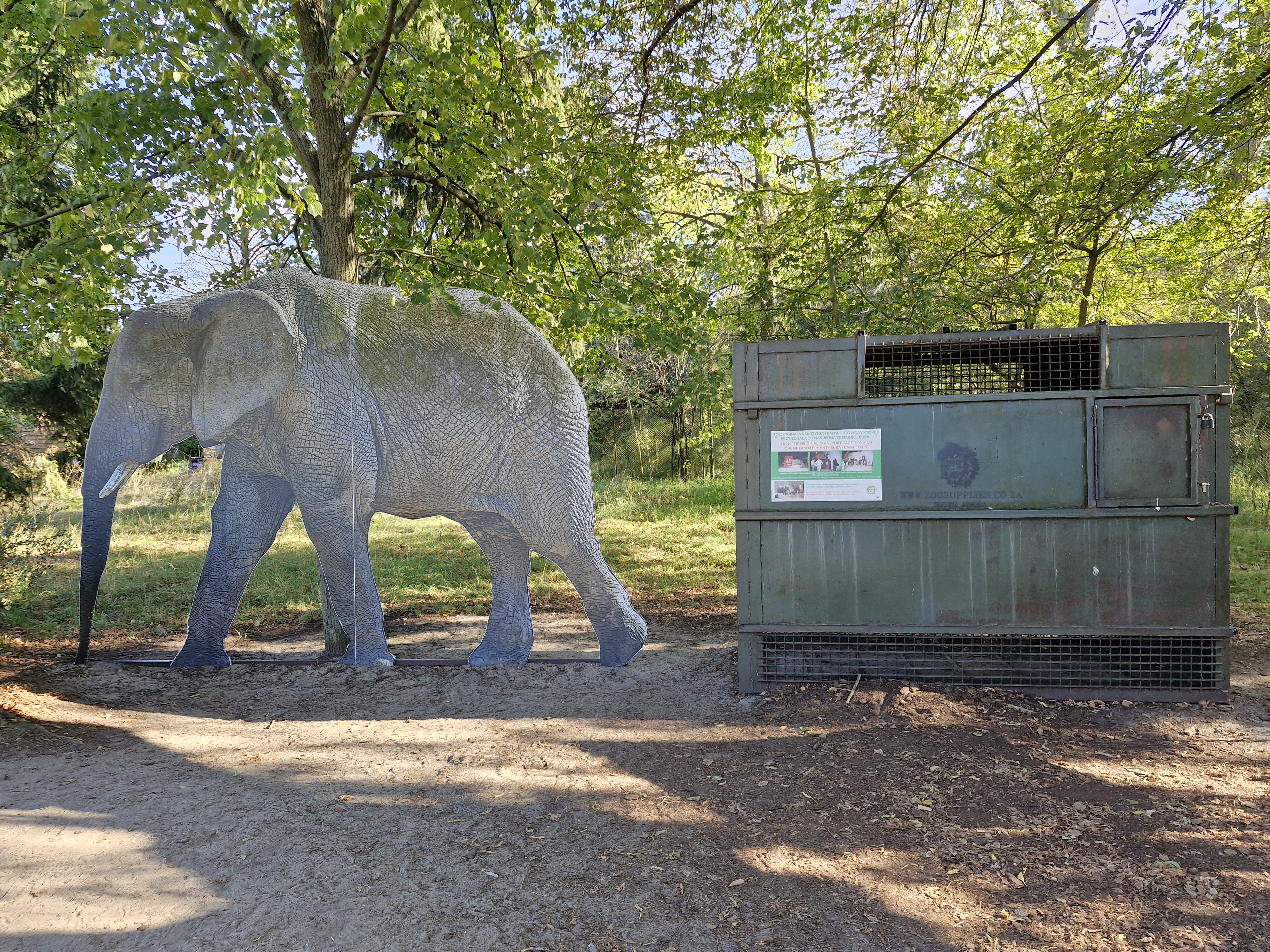 Skrzynia transportowa słonicy Buby w warszawskim ZOO Skrzynia transportowa słonicy Buby w warszawskim ZOO