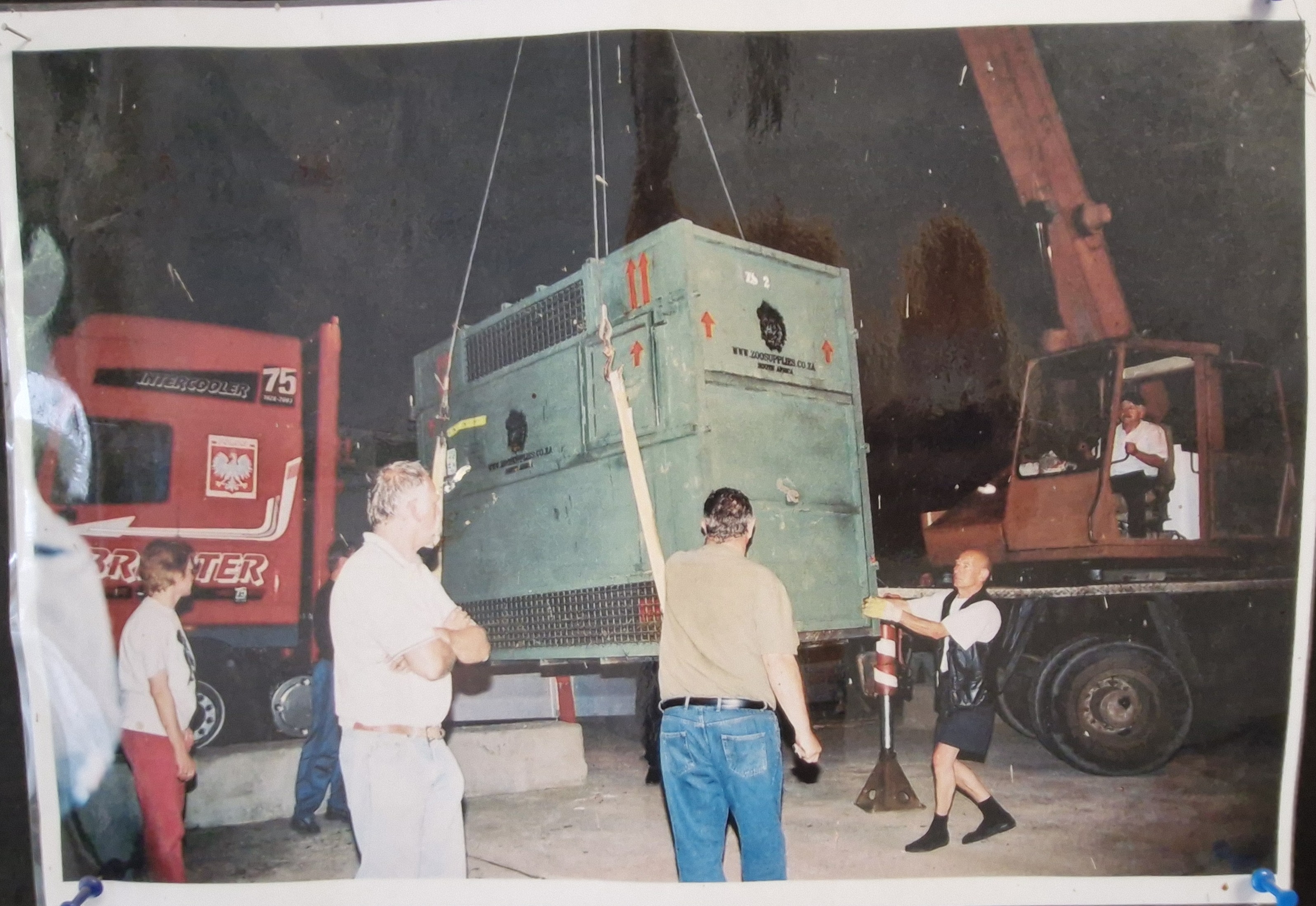 Transport słonicy Buby do ZOO w Warszawie Transport słonicy Buby do ZOO w Warszawie