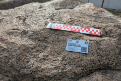 Granit Småland z mikrorzeźbą eoliczną na terenie zieleni sąsiedzkiej przy prywatnej posesji przy ul. Kasztanowej 4  w Pruszkowie z nowym identyfikatorem. Głaz narzutowy należy do miejskiej części Ścieżki Przyrodniczej, powstałej w 2022 r. w ramach Pruszkowskiego  Budżetu Obywatelskiego 